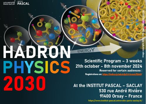 HADRON PHYSICS 2030