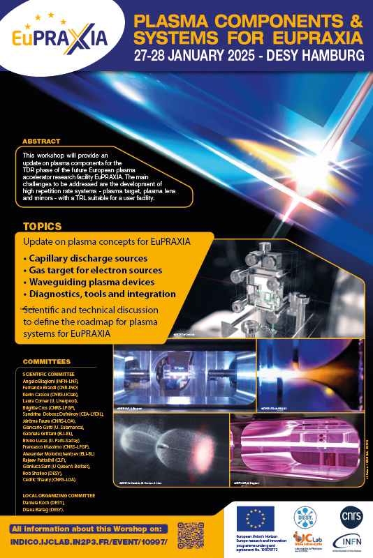 EuPRAXIA-Plasma components & systems for EuPraxia