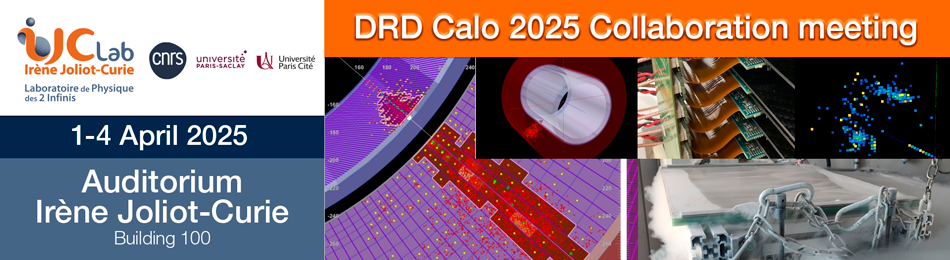 DRD Calo 2025 Collaboration meeting