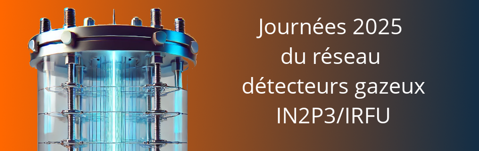 Journées 2025 du réseau détecteurs gazeux du CNRS Nucléaire et Particules/IRFU