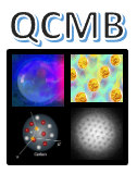 Quantum Computing for Many-Body problems (QCMB): atomic nuclei, neutrinos, and other strongly correlated Fermi systems